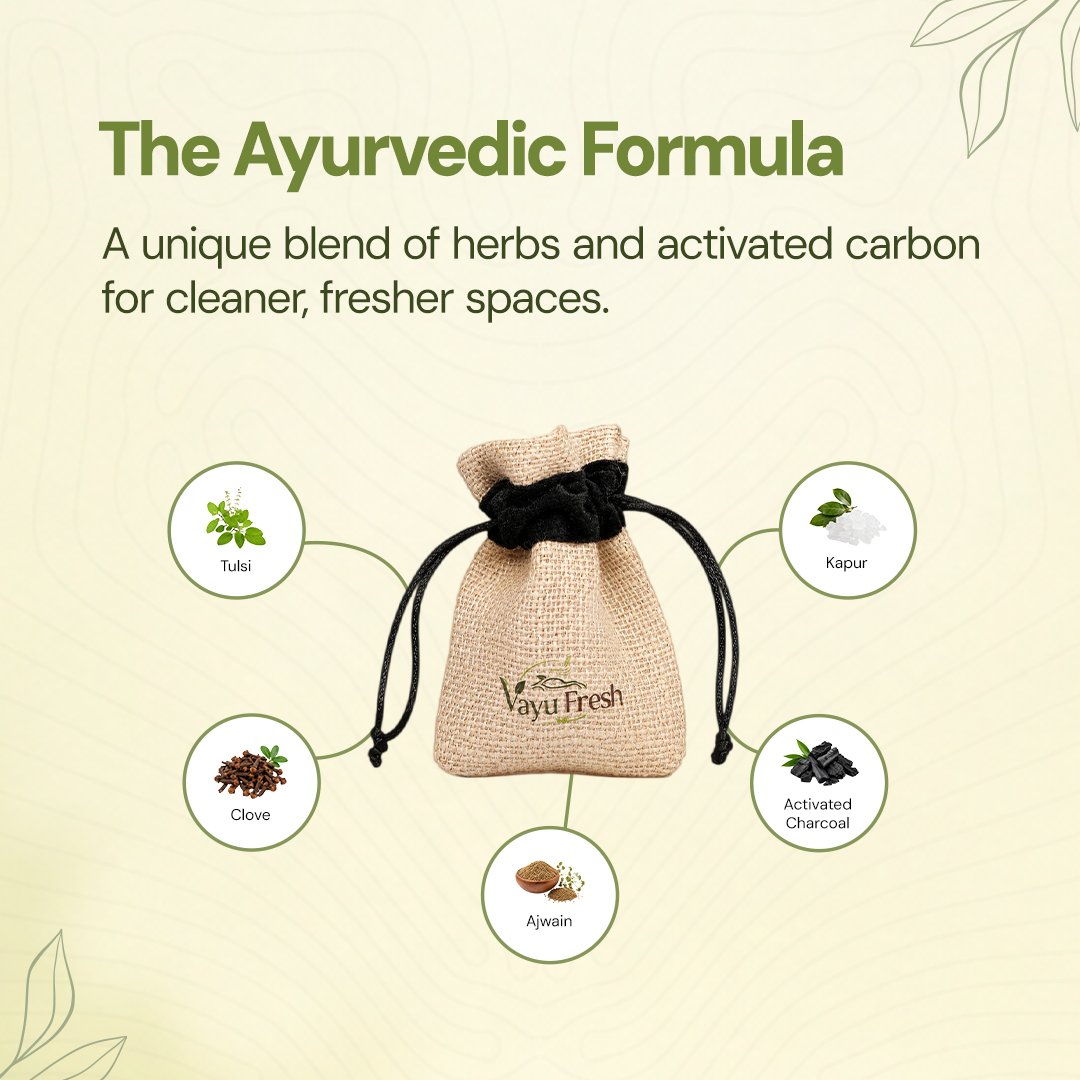 VayuFresh Car Air Purifier and Freshener