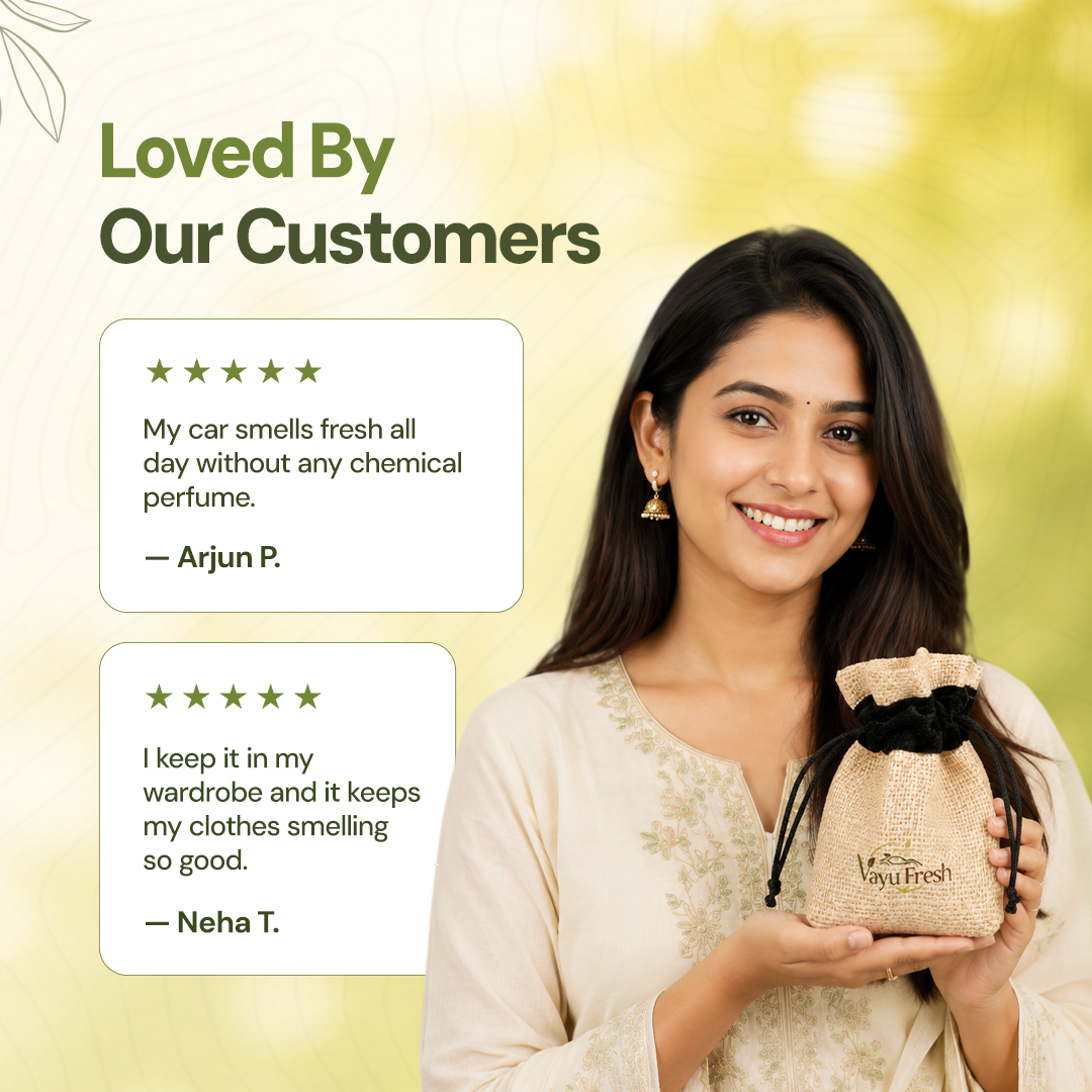 VayuFresh Car Air Purifier and Freshener